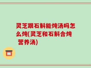 灵芝跟石斛能炖汤吗怎么炖(灵芝和石斛合炖 营养汤)