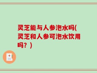 灵芝能与人参泡水吗(灵芝和人参可泡水饮用吗？)