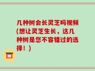 几种树会长灵芝吗视频(想让灵芝生长，这几种树是您不容错过的选择！)