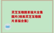 灵芝玉雕图素描大全集图片(精美灵芝玉雕图片素描合集)