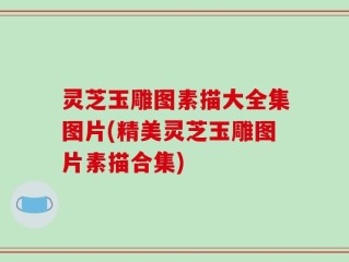 灵芝玉雕图素描大全集图片(精美灵芝玉雕图片素描合集)