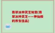 翡翠冰种灵芝如意(翡翠冰种灵芝——神仙般的养生佳品)