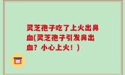 灵芝孢子吃了上火出鼻血(灵芝孢子引发鼻出血？小心上火！)
