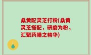 桑黄配灵芝打粉(桑黄灵芝搭配，研磨为粉，汇聚药膳之精华)