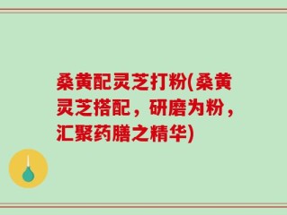 桑黄配灵芝打粉(桑黄灵芝搭配，研磨为粉，汇聚药膳之精华)