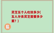 灵芝五个人吃放多少(五人分食灵芝需要多少重？)