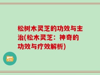 松树木灵芝的功效与主治(松木灵芝：神奇的功效与疗效解析)