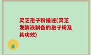 灵芝孢子粉描述(灵芝发酵液制备的孢子粉及其功效)
