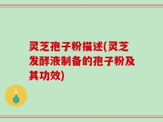 灵芝孢子粉描述(灵芝发酵液制备的孢子粉及其功效)