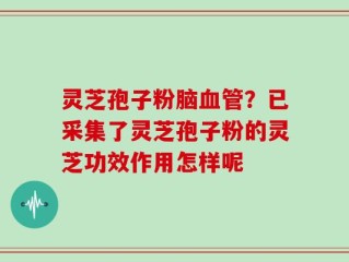灵芝孢子粉脑血管？已采集了灵芝孢子粉的灵芝功效作用怎样呢