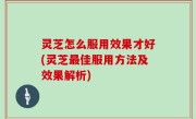 灵芝怎么服用效果才好(灵芝最佳服用方法及效果解析)