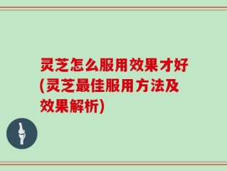 灵芝怎么服用效果才好(灵芝最佳服用方法及效果解析)