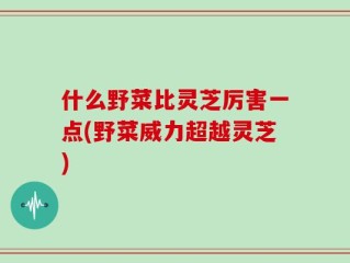 什么野菜比灵芝厉害一点(野菜威力超越灵芝)