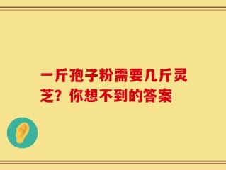 一斤孢子粉需要几斤灵芝？你想不到的答案