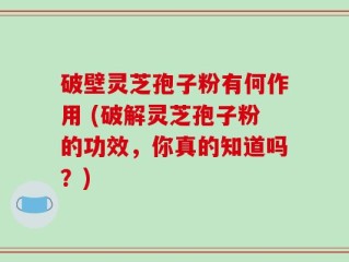破壁灵芝孢子粉有何作用 (破解灵芝孢子粉的功效，你真的知道吗？)