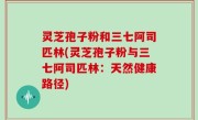 灵芝孢子粉和三七阿司匹林(灵芝孢子粉与三七阿司匹林：天然健康路径)