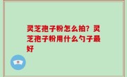 灵芝孢子粉怎么拍？灵芝孢子粉用什么勺子最好
