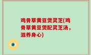 鸡骨草黄豆煲灵芝(鸡骨草黄豆煲配灵芝汤，滋养身心)