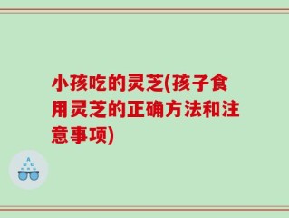 小孩吃的灵芝(孩子食用灵芝的正确方法和注意事项)
