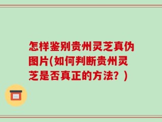 怎样鉴别贵州灵芝真伪图片(如何判断贵州灵芝是否真正的方法？)