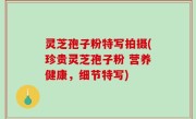 灵芝孢子粉特写拍摄(珍贵灵芝孢子粉 营养健康，细节特写)
