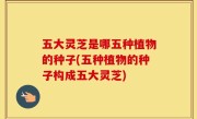 五大灵芝是哪五种植物的种子(五种植物的种子构成五大灵芝)