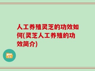 人工养殖灵芝的功效如何(灵芝人工养殖的功效简介)