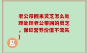 老公带回来灵芝怎么处理处理老公带回的灵芝，保证营养价值不流失)