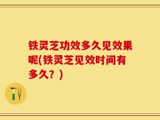铁灵芝功效多久见效果呢(铁灵芝见效时间有多久？)