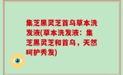 集芝黑灵芝首乌草本洗发液(草本洗发液：集芝黑灵芝和首乌，天然呵护秀发)