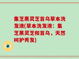 集芝黑灵芝首乌草本洗发液(草本洗发液：集芝黑灵芝和首乌，天然呵护秀发)