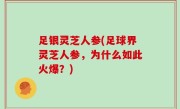 足银灵芝人参(足球界灵芝人参，为什么如此火爆？)