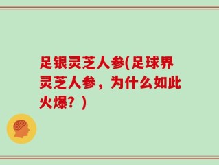 足银灵芝人参(足球界灵芝人参，为什么如此火爆？)