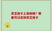 灵芝孢子上海炮规？哪里可以买到灵芝孢子