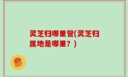 灵芝归哪里管(灵芝归属地是哪里？)