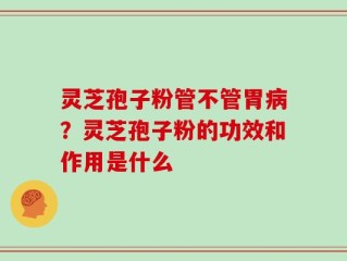 灵芝孢子粉管不管胃病？灵芝孢子粉的功效和作用是什么