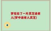 梦见捡了一片灵芝送老人(梦中送老人灵芝)