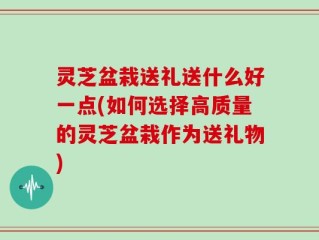 灵芝盆栽送礼送什么好一点(如何选择高质量的灵芝盆栽作为送礼物)