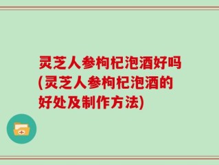 灵芝人参枸杞泡酒好吗(灵芝人参枸杞泡酒的好处及制作方法)