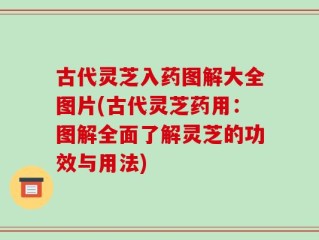 古代灵芝入药图解大全图片(古代灵芝药用：图解全面了解灵芝的功效与用法)
