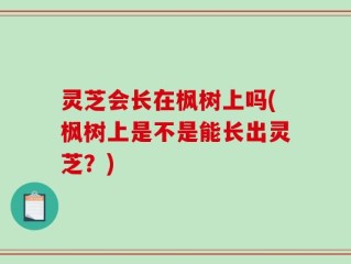 灵芝会长在枫树上吗(枫树上是不是能长出灵芝？)
