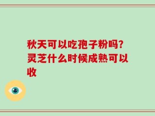 秋天可以吃孢子粉吗？灵芝什么时候成熟可以收