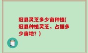 冠县灵芝多少亩种植(冠县种植灵芝，占据多少亩地？)