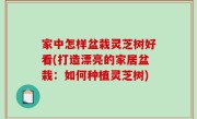 家中怎样盆栽灵芝树好看(打造漂亮的家居盆栽：如何种植灵芝树)