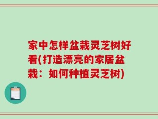 家中怎样盆栽灵芝树好看(打造漂亮的家居盆栽：如何种植灵芝树)