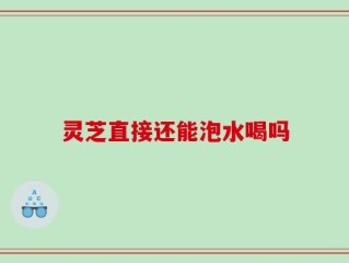 灵芝直接还能泡水喝吗
