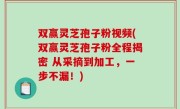 双赢灵芝孢子粉视频(双赢灵芝孢子粉全程揭密 从采摘到加工，一步不漏！)
