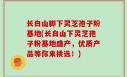 长白山脚下灵芝孢子粉基地(长白山下灵芝孢子粉基地盛产，优质产品等你来挑选！)