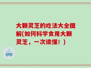 大颗灵芝的吃法大全图解(如何科学食用大颗灵芝，一次读懂！)