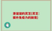 滑溜溜的灵芝(灵芝：提升免疫力的新宠)